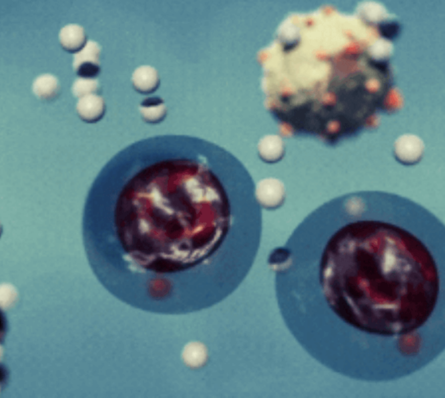 illustration of how the drug protects blood cells