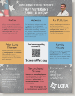 Thumbnail image of the Veterans Risk Infographic